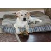 Hill Country Pet Ranch