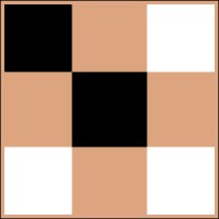 Echo Chunk AI