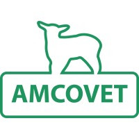 أمكوفت - الأردن