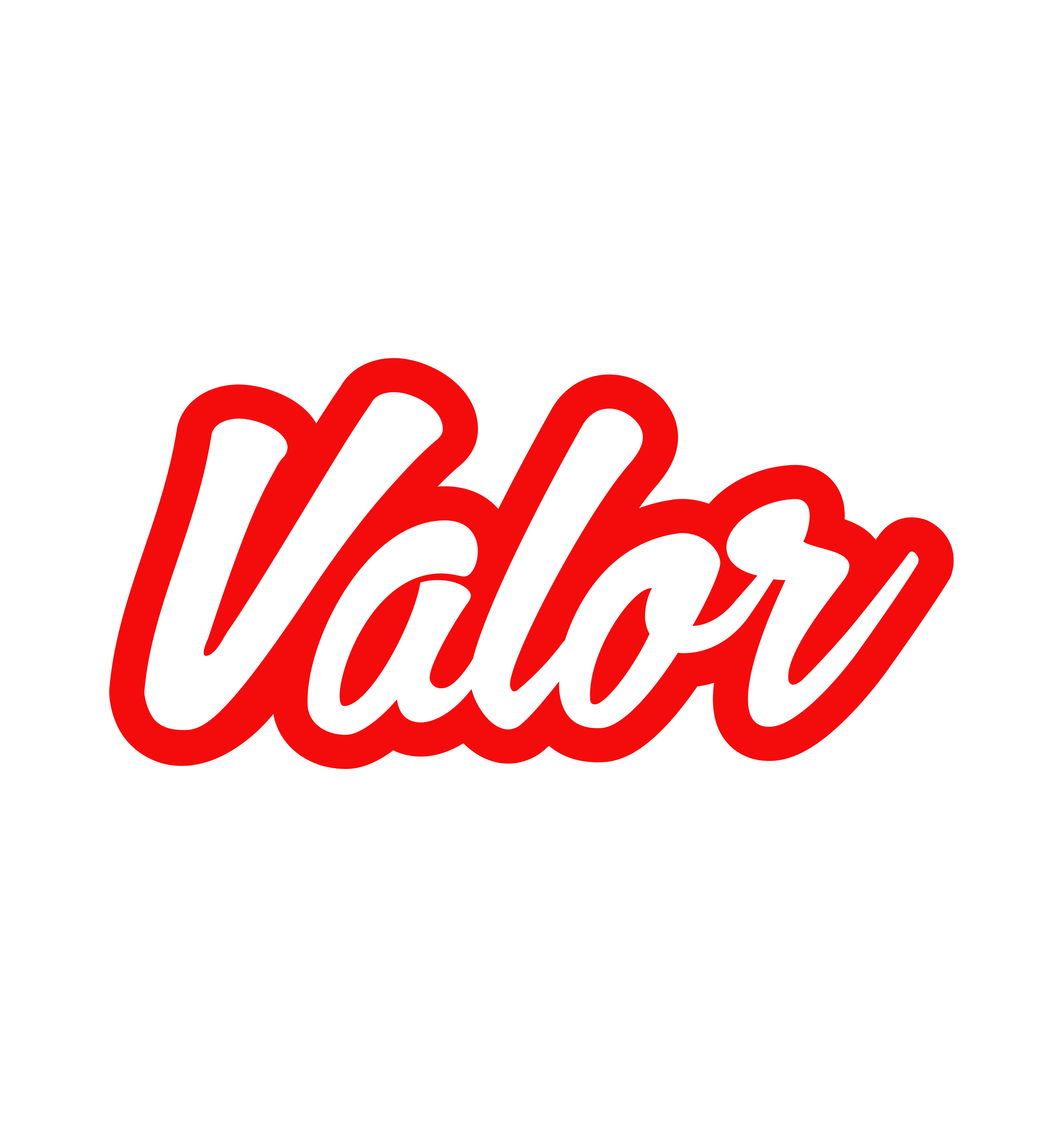 Valor Software