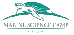 New Logic Marine Science Camp
