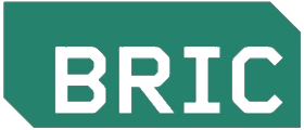 Bric Arts Media