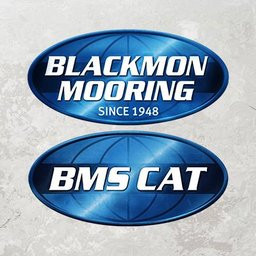 BMS CAT