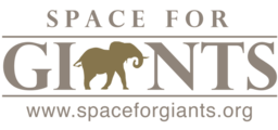 Space for Giants