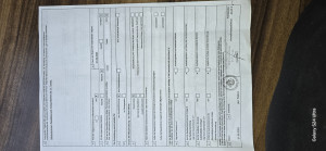 Gebaudereinigung Panko Sotirov Pankov