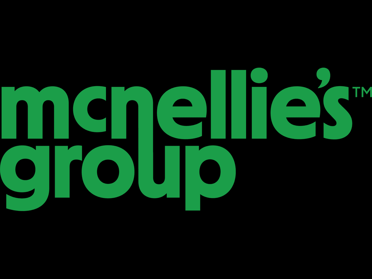 MCNELLIES GROUP LLC