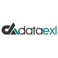DATAEXL INFORMATION LLC