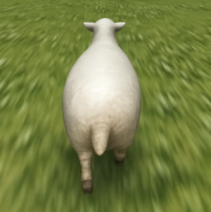 crazy cattle 3d