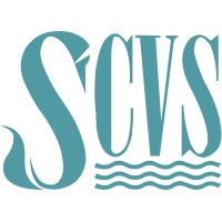 Swansea Council for Voluntary Service (SwanseaCVS)
