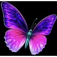 Syncra AI Inc.