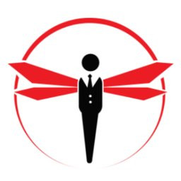 SnapDragon Associates, LLC