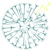DANDELION HEALTH LTD