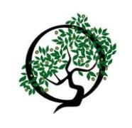 Los Olivos Women's Medical Group