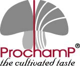 Peffer Group (Prochamp) Velddriel