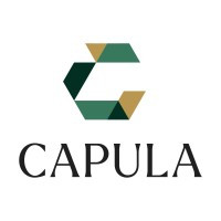 Capula Investment Management LLP