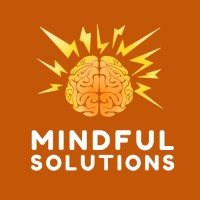 Mindful Solutions