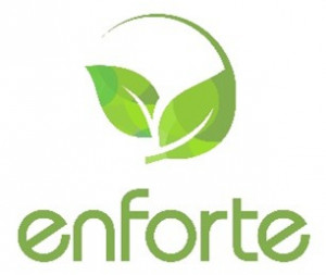 Enforte Co., Ltd.
