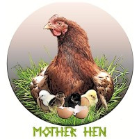 Mother Hen LLC