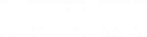 Skyports Drone Services