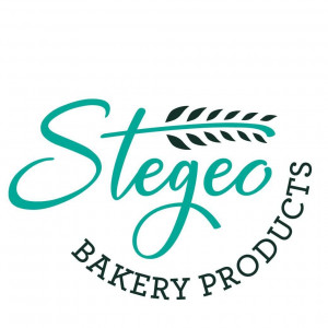 STEGEO LTD