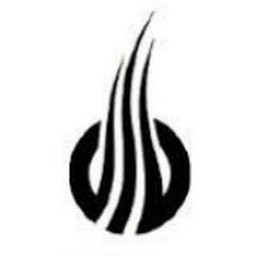 SiOnyx, LLC