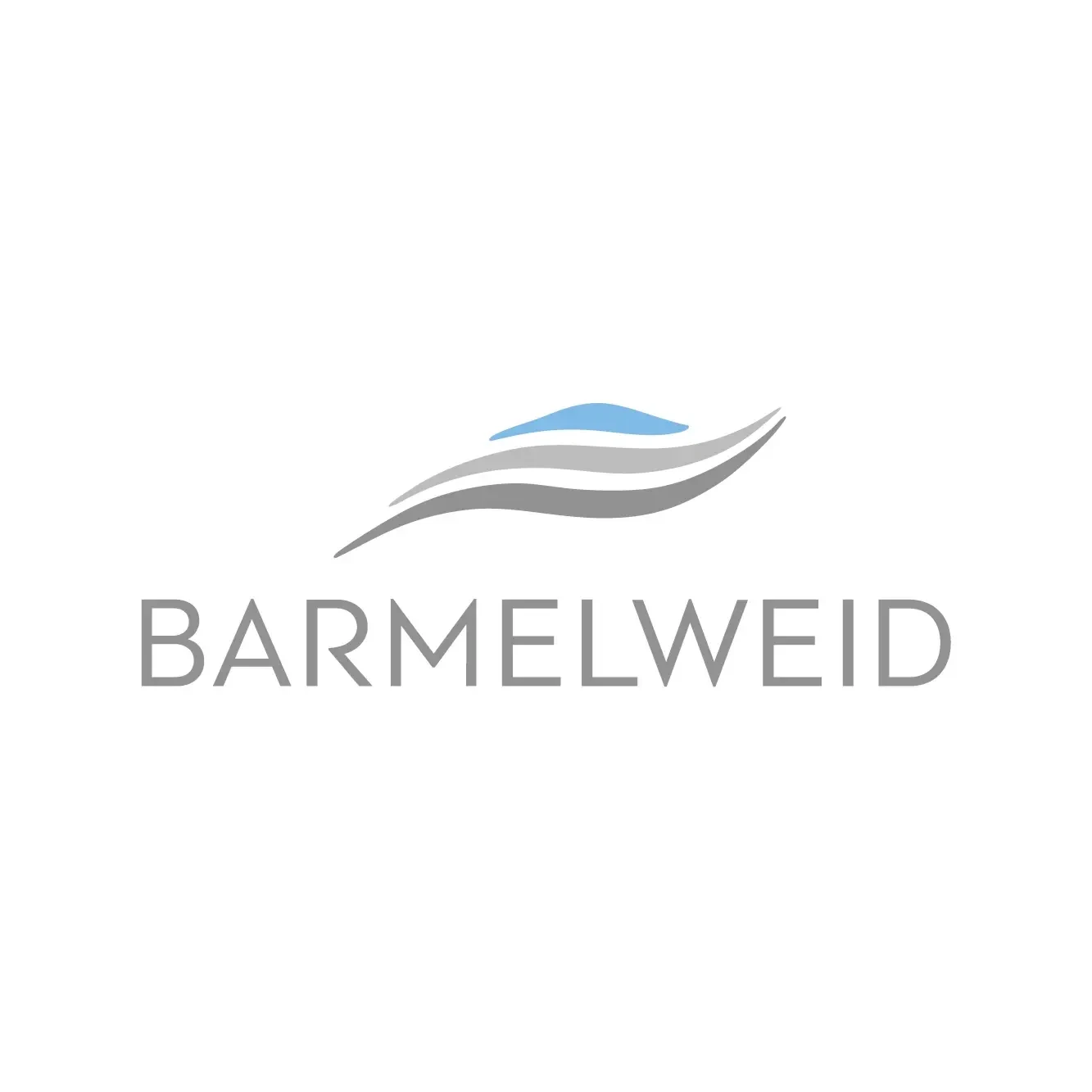 Barmelweid Gruppe AG