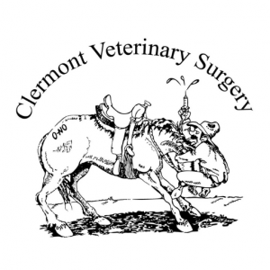 Clermont Veterinary Surgery