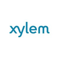 Xylem