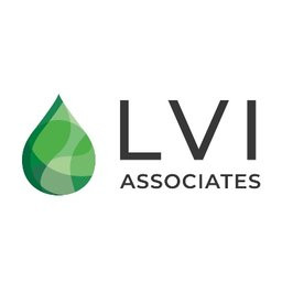 LVI Associates