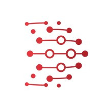 Dalil Information Technology | UAE