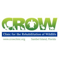 CROW - Clinic for the Rehabilitation of Wildlife, Inc.