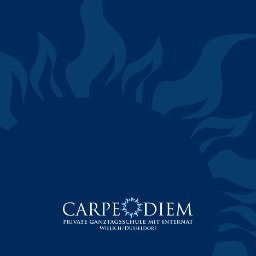 Privatschule Carpe Diem GmbH