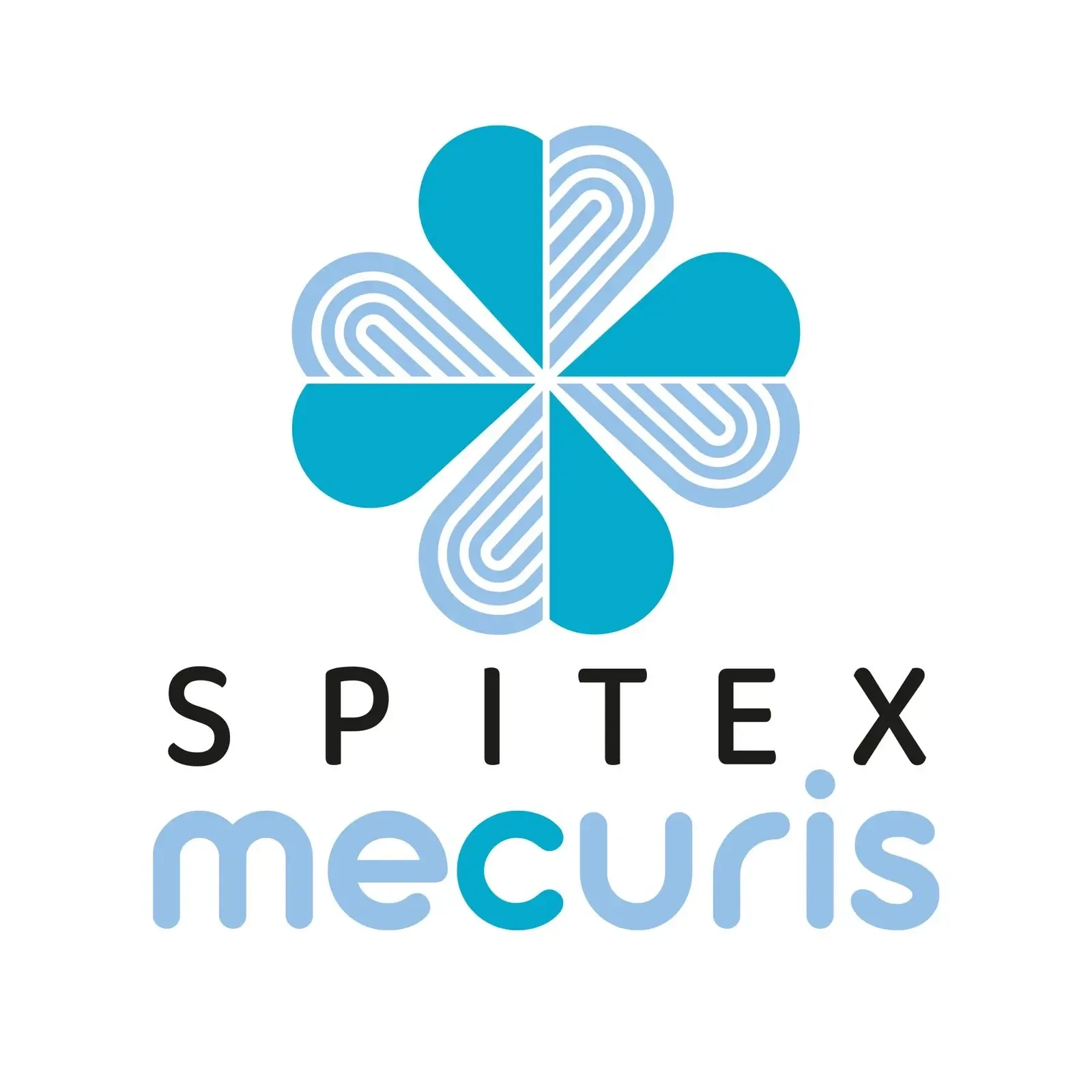 SPITEX mecuris GmbH