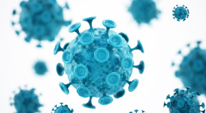 ASFV Monoclonal Antibodies