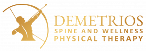 Demetrios Spine and Wellness Physical Therapy