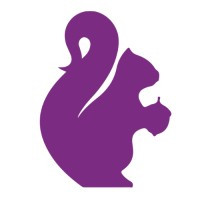 Curate Partners