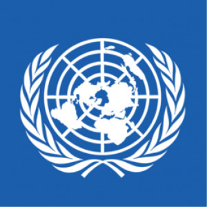 UNDP