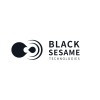Black Sesame Technologies