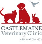 Castlemaine Veterinary Clinic