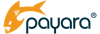 Payara Services