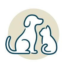 South County Animal Hospital
