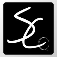 ShrinQ Consulting Group Inc