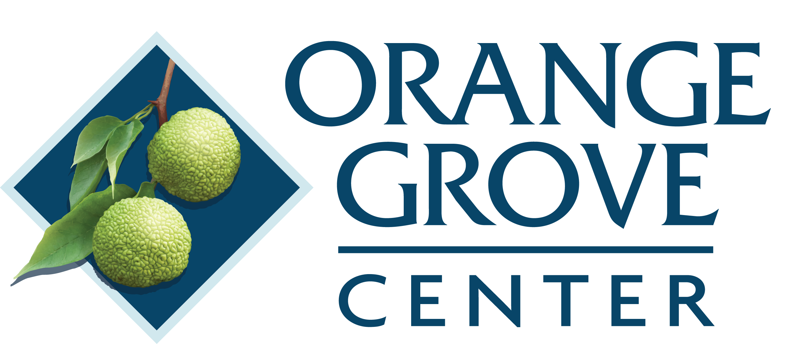 ORANGE GROVE CENTER INC
