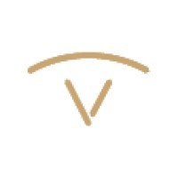 Visioneers