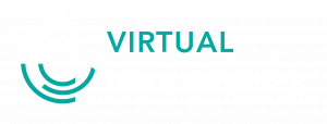 Virtual Internships