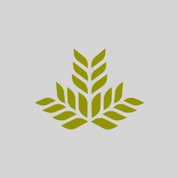 Northeast Georgia Health System