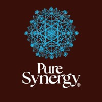 The Synergy Company™