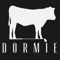 Dormie Workshop
