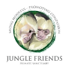 Jungle Friends