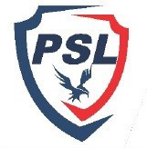 Panorama Alarm Systems and Security Services Limited